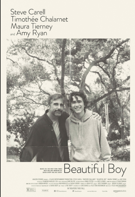 Movie, Beautiful Boy, Steve Carell, Depression, Suicide, Addiction, Mental Illness, Mental Health, Coping, Drug Abuse, Grief, Therapy, Recovery, Rehabilitation, Timothee Chalamet