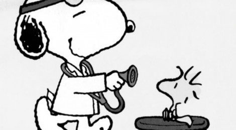 Dr. Snoopy: Including Pets in Psychological Treatments