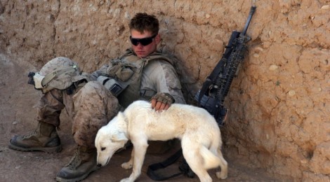 A War Vet’s Best Friend:  Cutting the Cost of PTSD Service Dogs