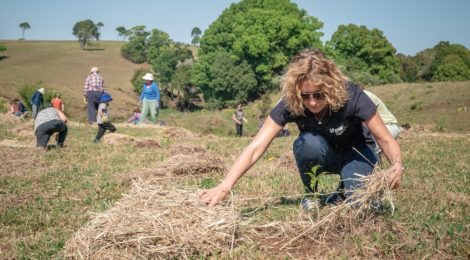 Woman volunteering, planting a tree.