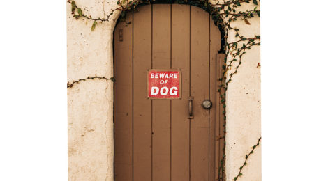 Beware of Dog