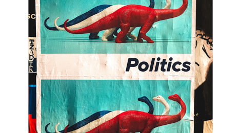 Psychological Traits That Shape Your Political Beliefs 