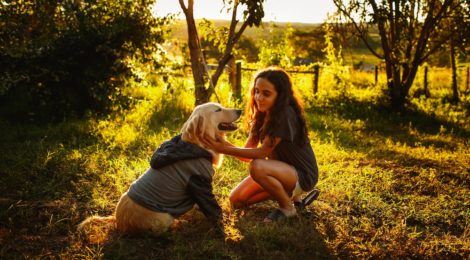 girl and her dog sit in the forest with sunset