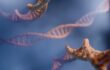 Global Study Identifies New Genetic Links to Depression