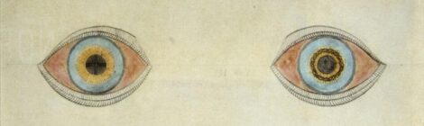 My Eyes at the Moment of the Apparitions