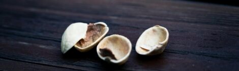 Nutshell by Alice in Chains