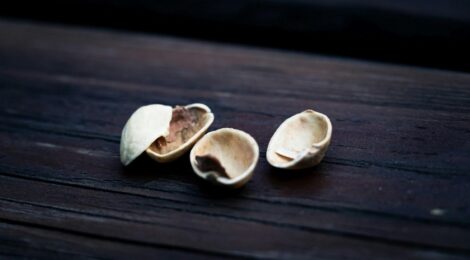 Nutshell by Alice in Chains